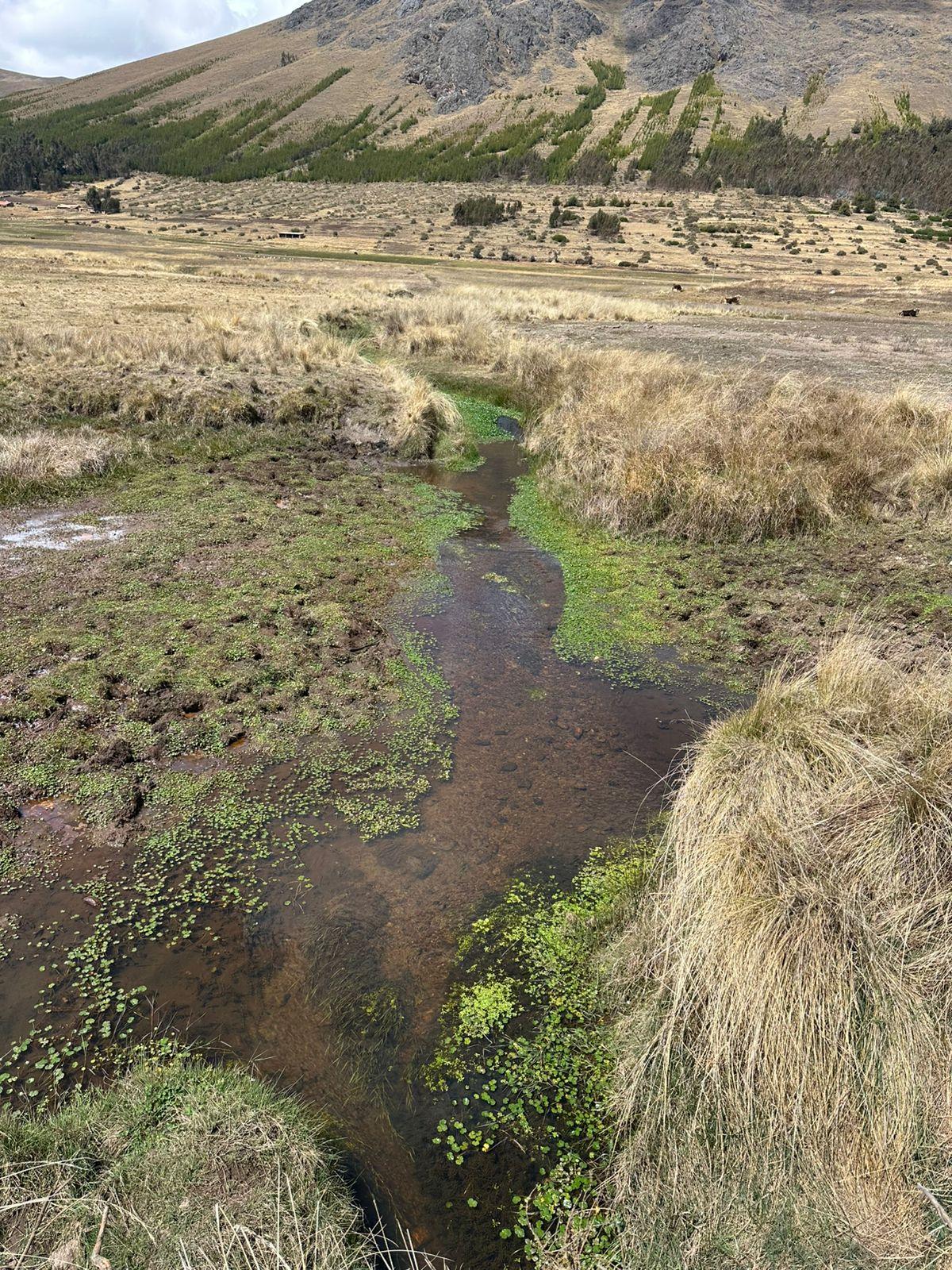 A highland wetland and stream in Cusco, Peru